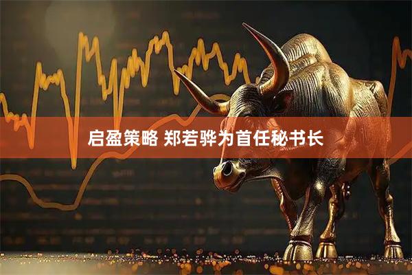 启盈策略 郑若骅为首任秘书长