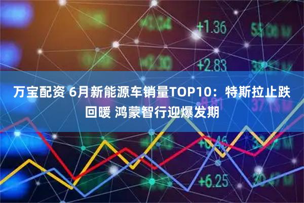 万宝配资 6月新能源车销量TOP10：特斯拉止跌回暖 鸿蒙智行迎爆发期